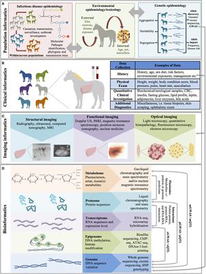 The Scope of Big Data in One Medicine: Unprecedented Opportunities and Challenges